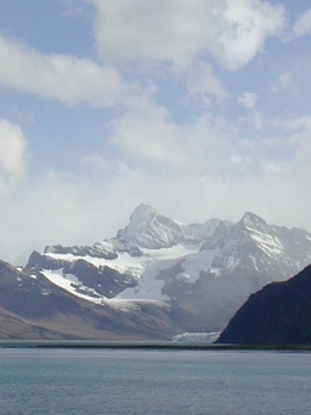 DSCN0833