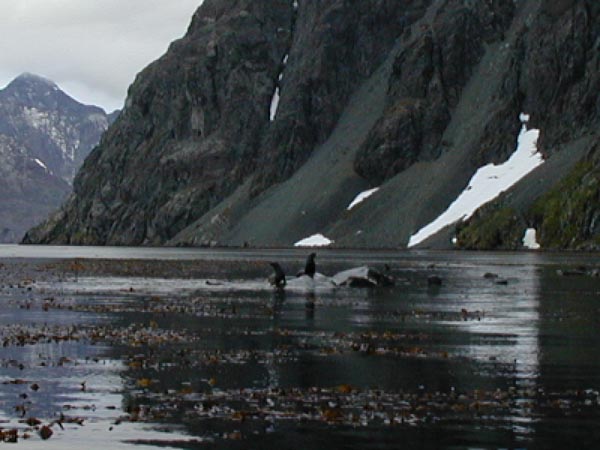 DSCN0067