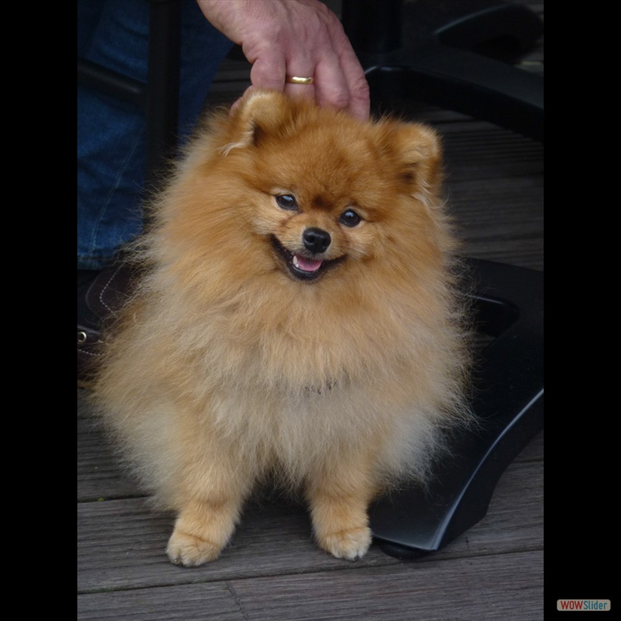 094_P1180690_de_Bijenkorf_Lunch