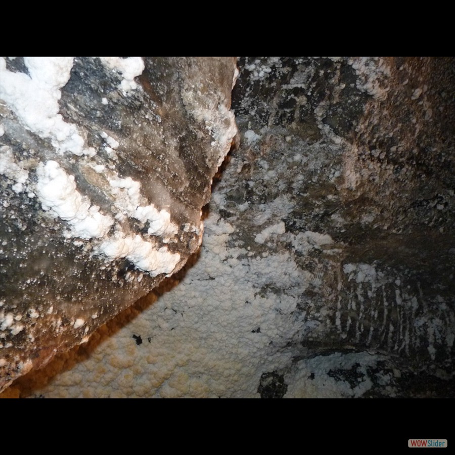 011_P1170936_Wieliczka