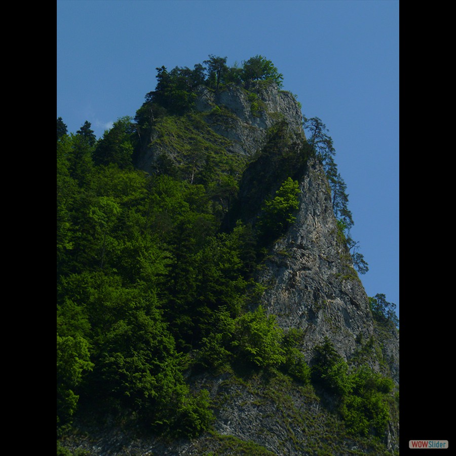 062_P1170750_Pieniny_Dunajec