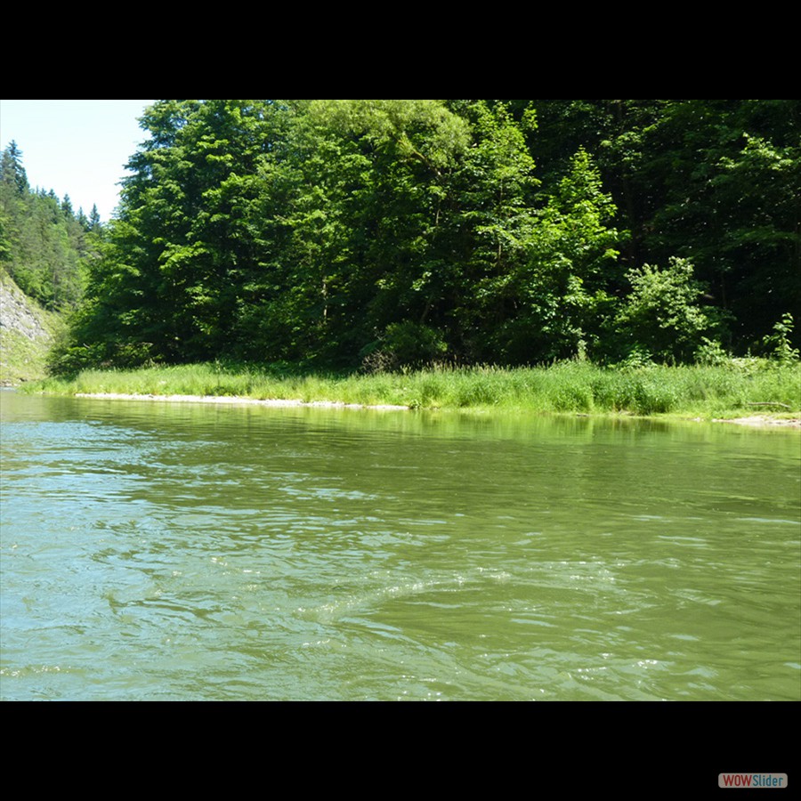 063_P1170758_Pieniny_Dunajec