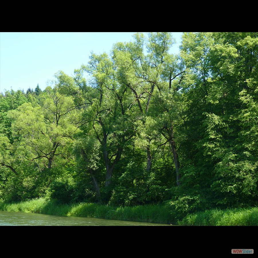 067_P1170764_Pieniny_Dunajec