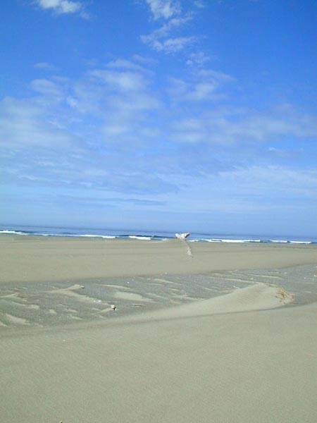 DSCN1540