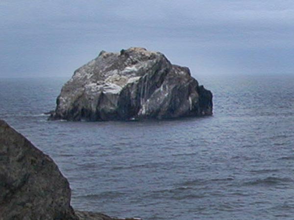 DSCN1557a