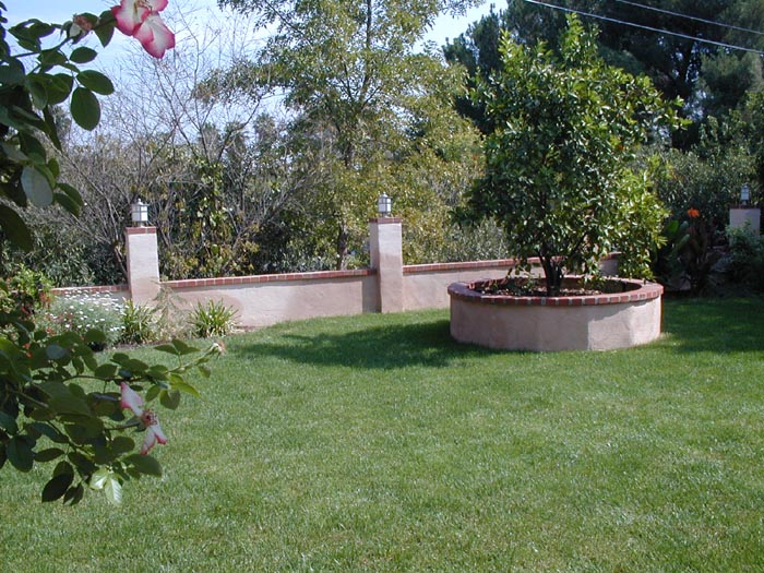 DSCN0523